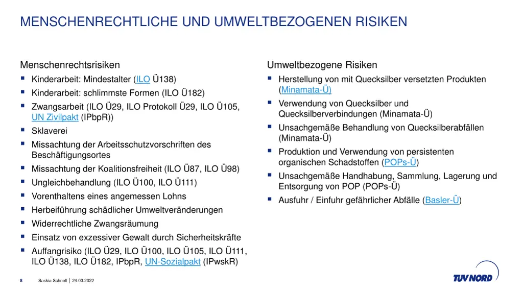 menschenrechtliche und umweltbezogenen risiken