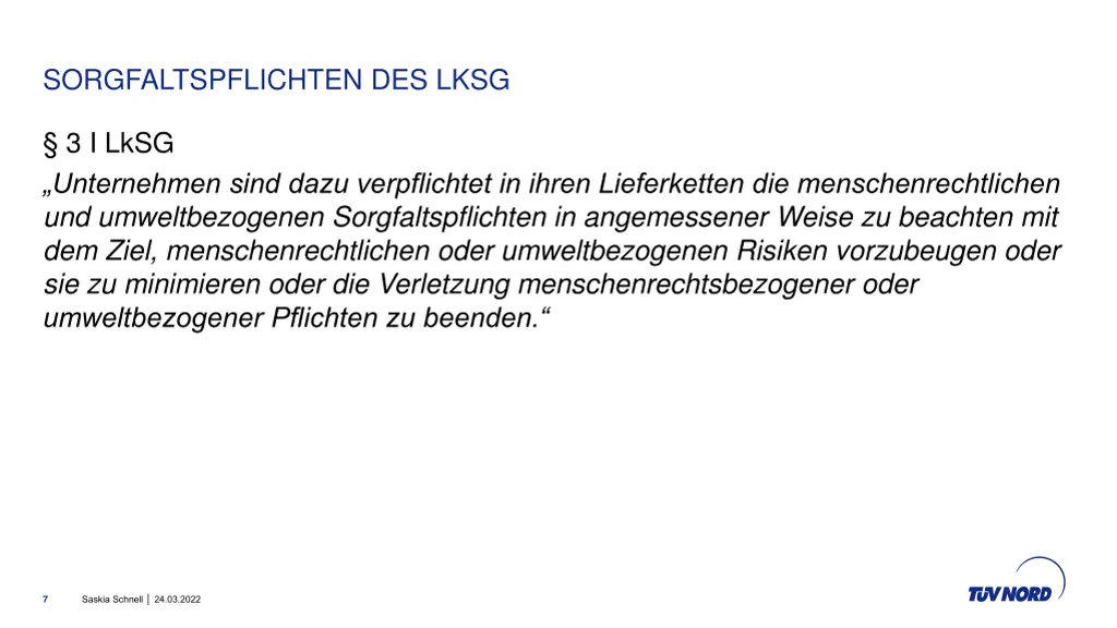 sorgfaltspflichten des lksg