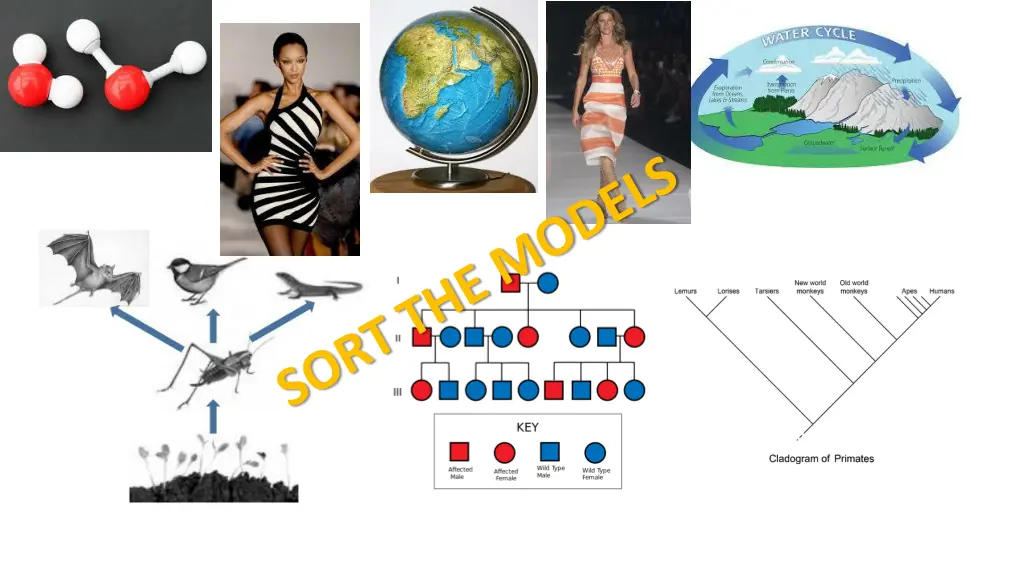 slide4