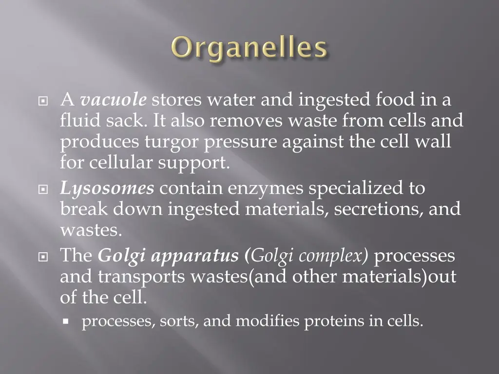 a vacuole stores water and ingested food