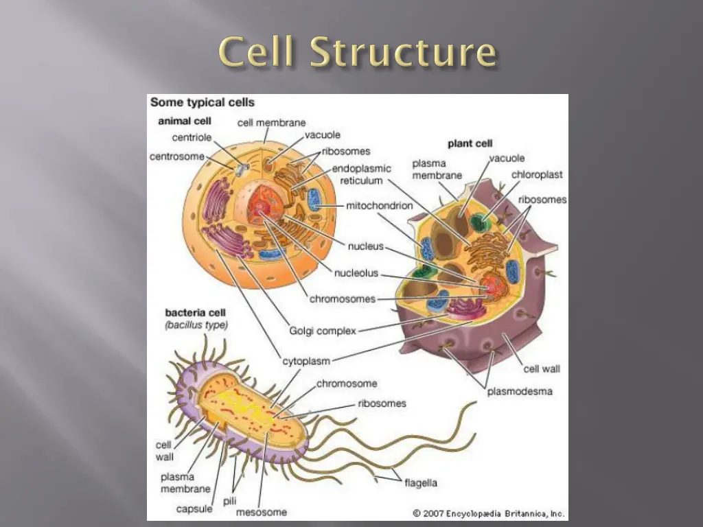 slide20