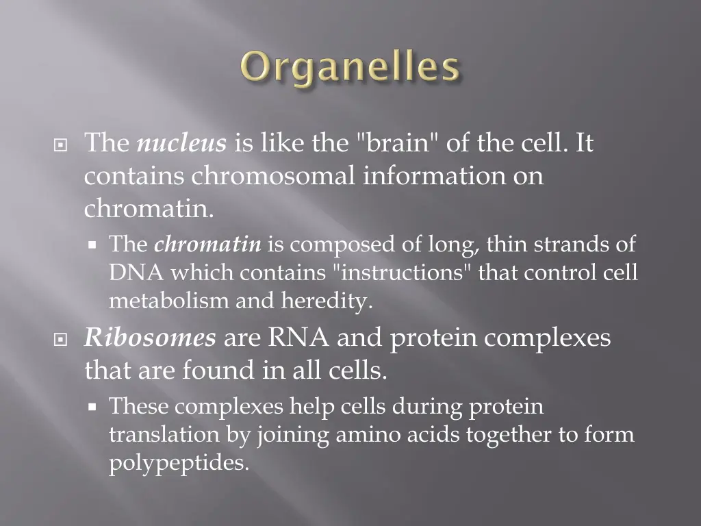 the nucleus is like the brain of the cell