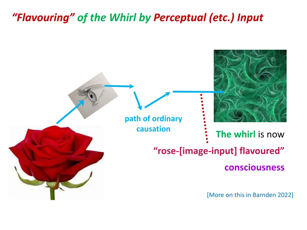 flavouring of the whirl by perceptual etc input