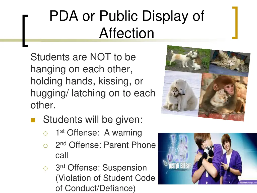 pda or public display of affection