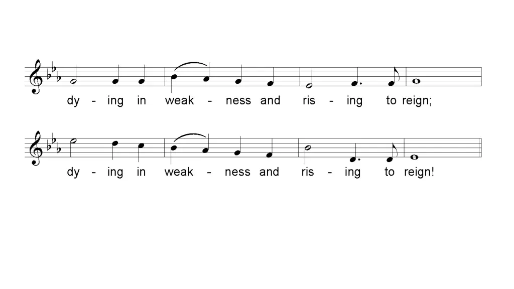 slide17