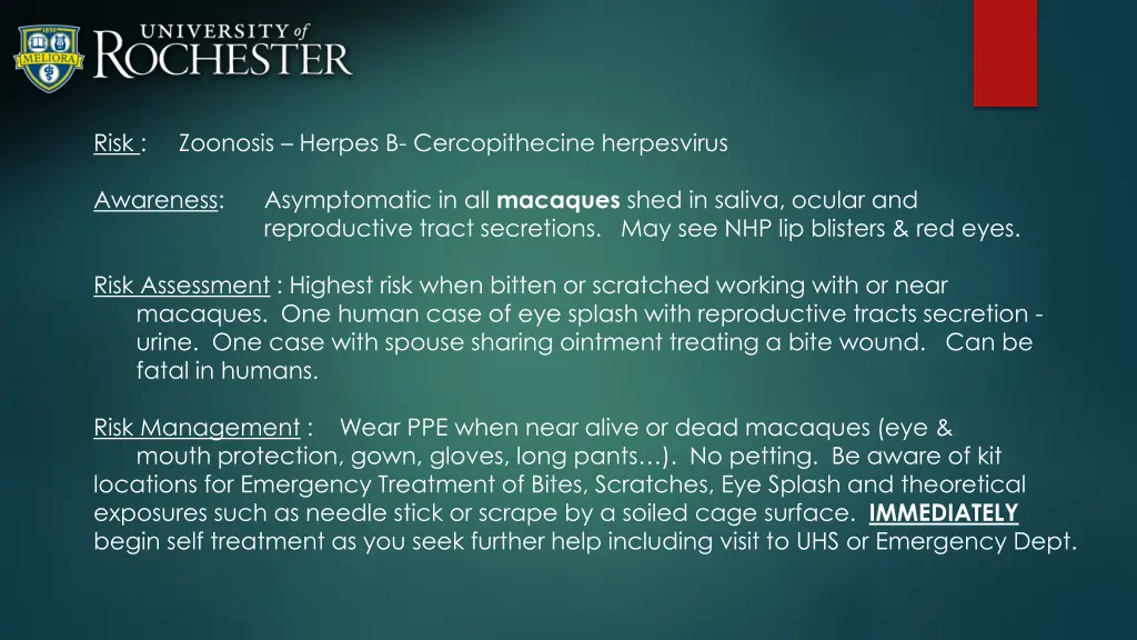 slide11