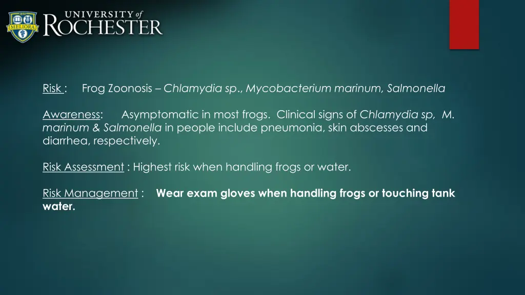 slide14