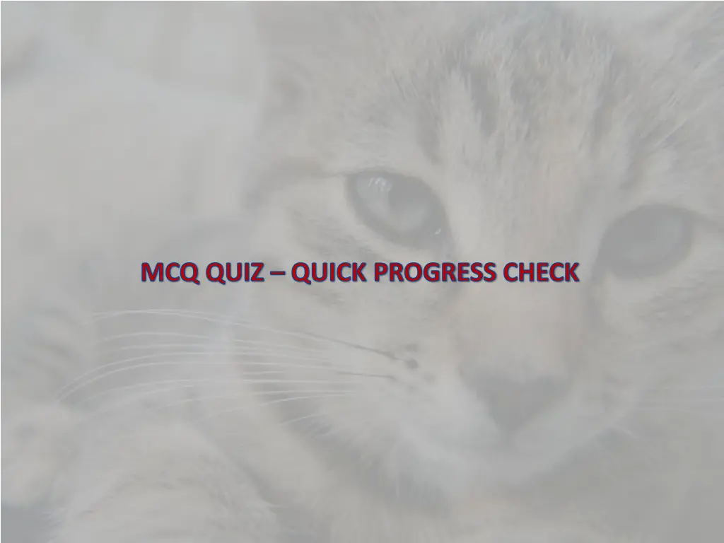 mcq quiz quick progress check