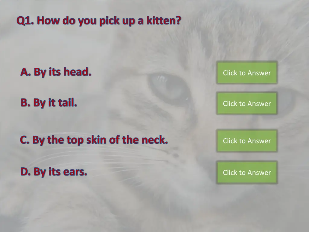 q1 how do you pick up a kitten