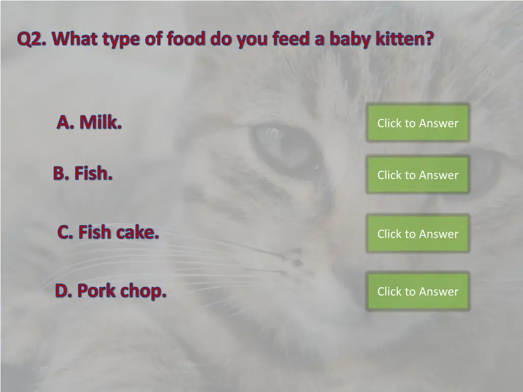 q2 what type of food do you feed a baby kitten