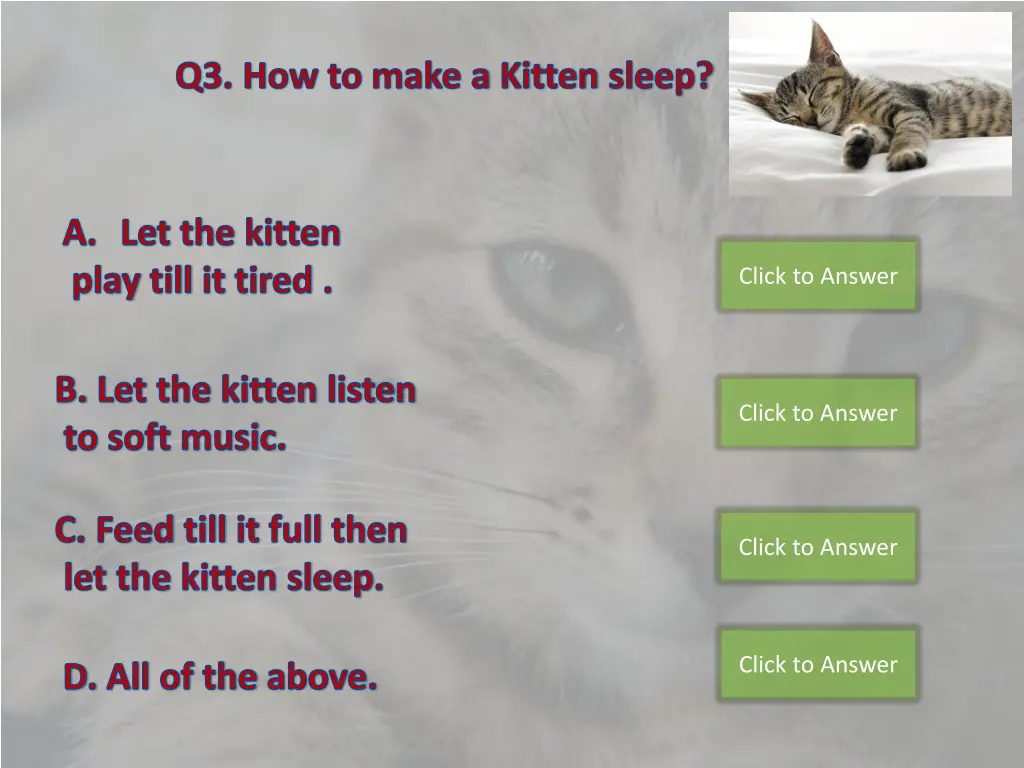 q3 how to make a kitten sleep