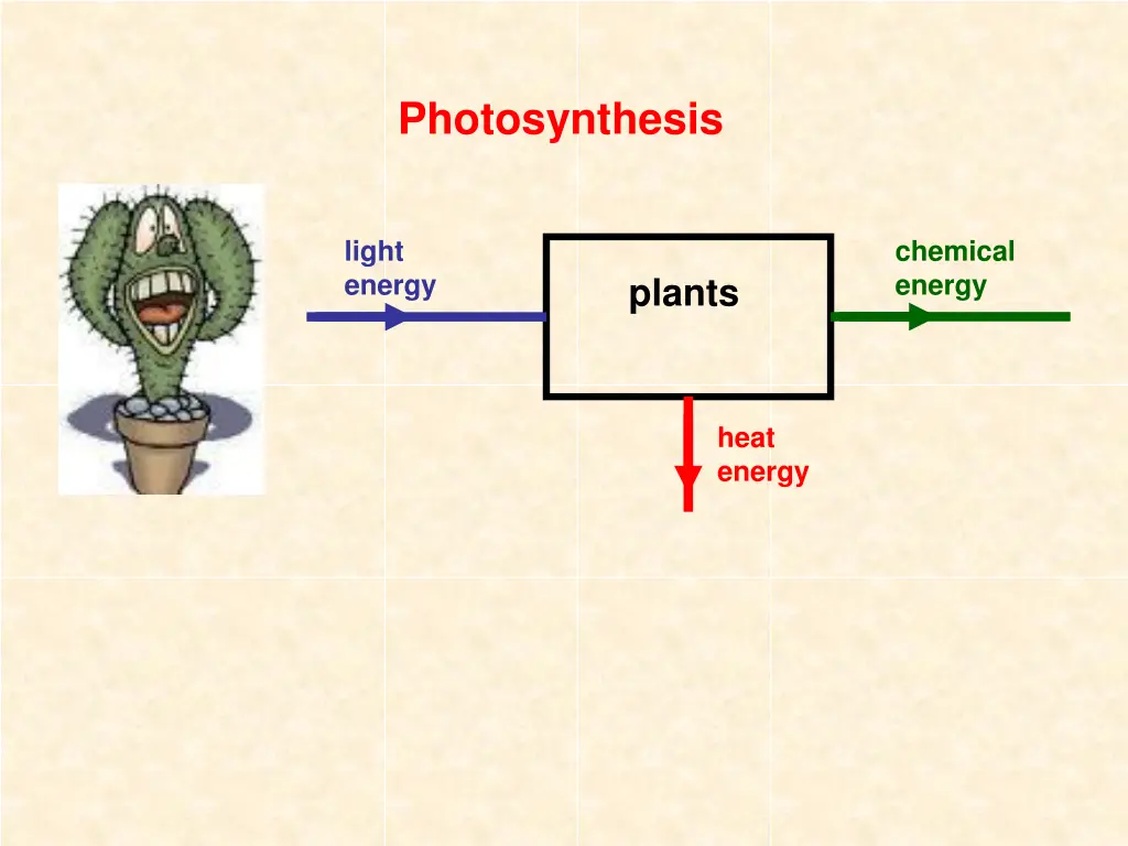 photosynthesis
