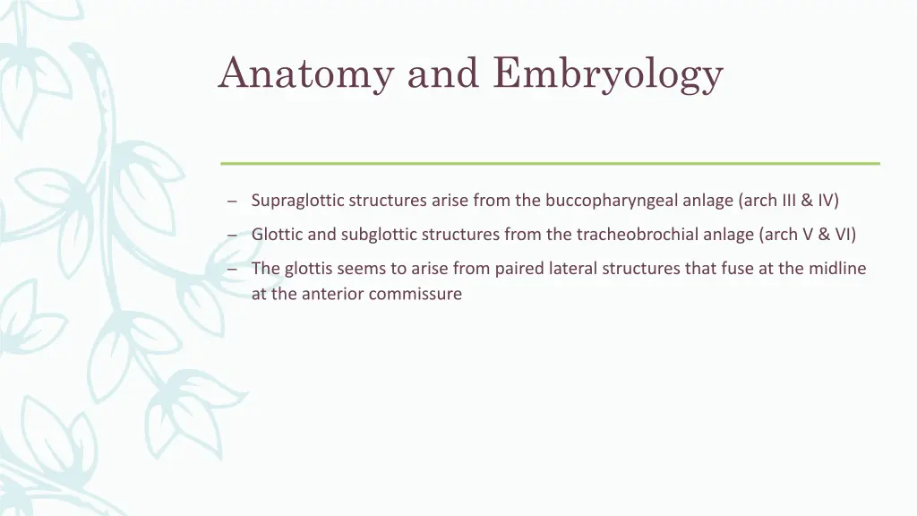 anatomy and embryology