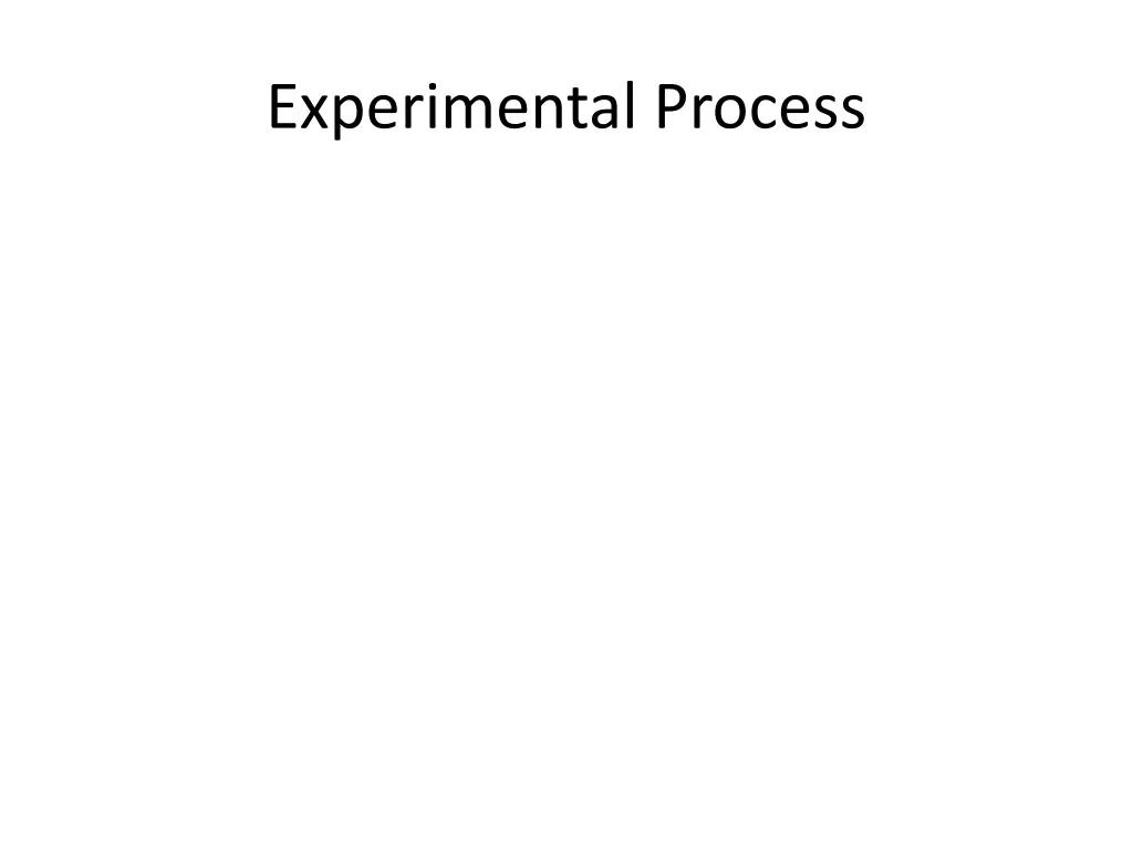 experimental process