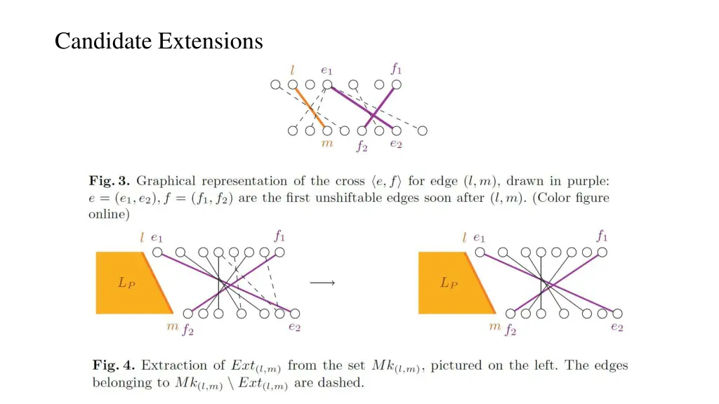 candidate extensions