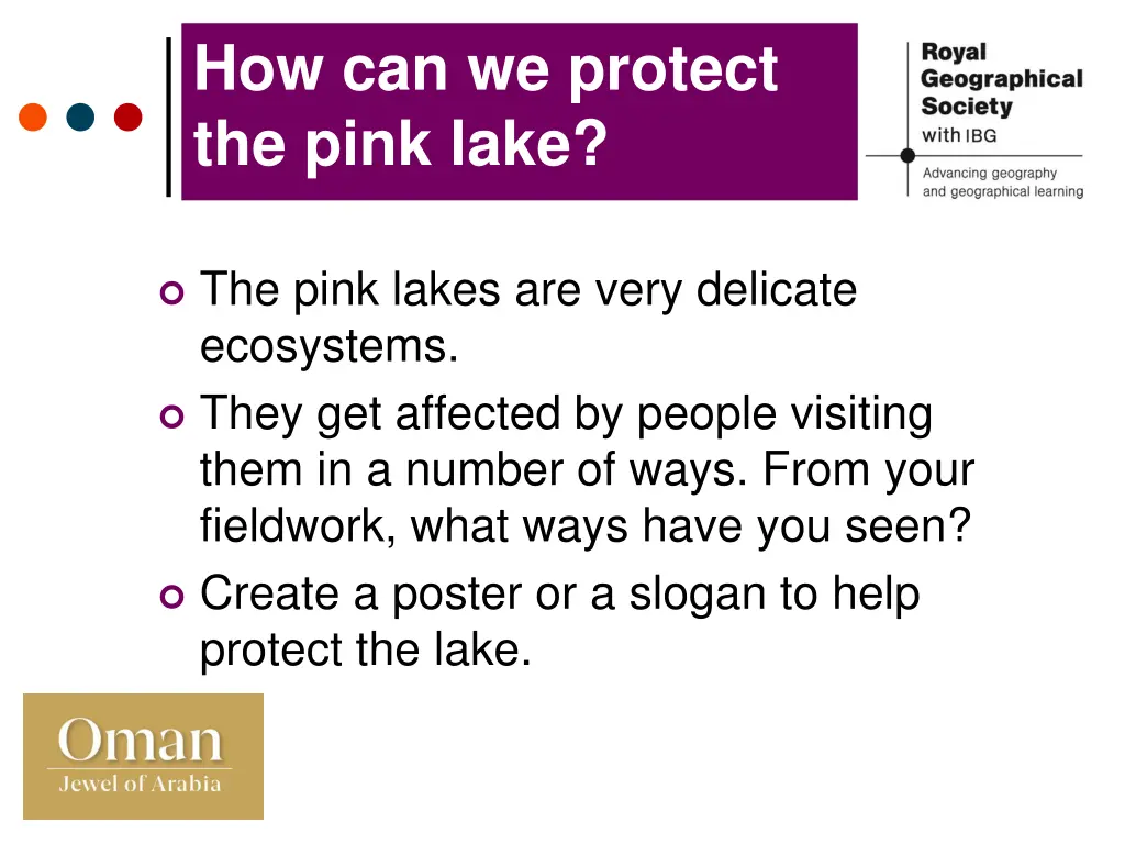 how can we protect the pink lake