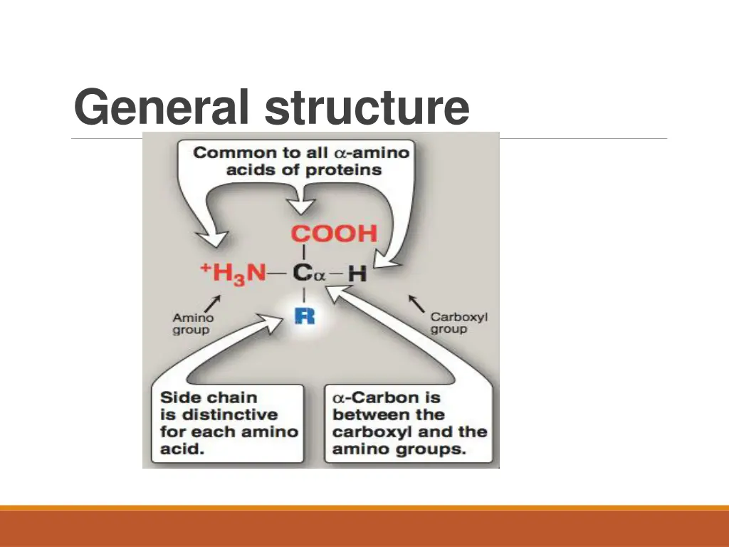 general structure