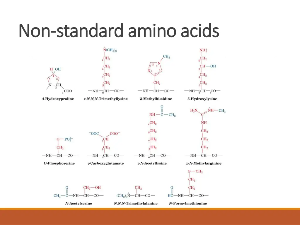 non non standard amino acids standard amino acids