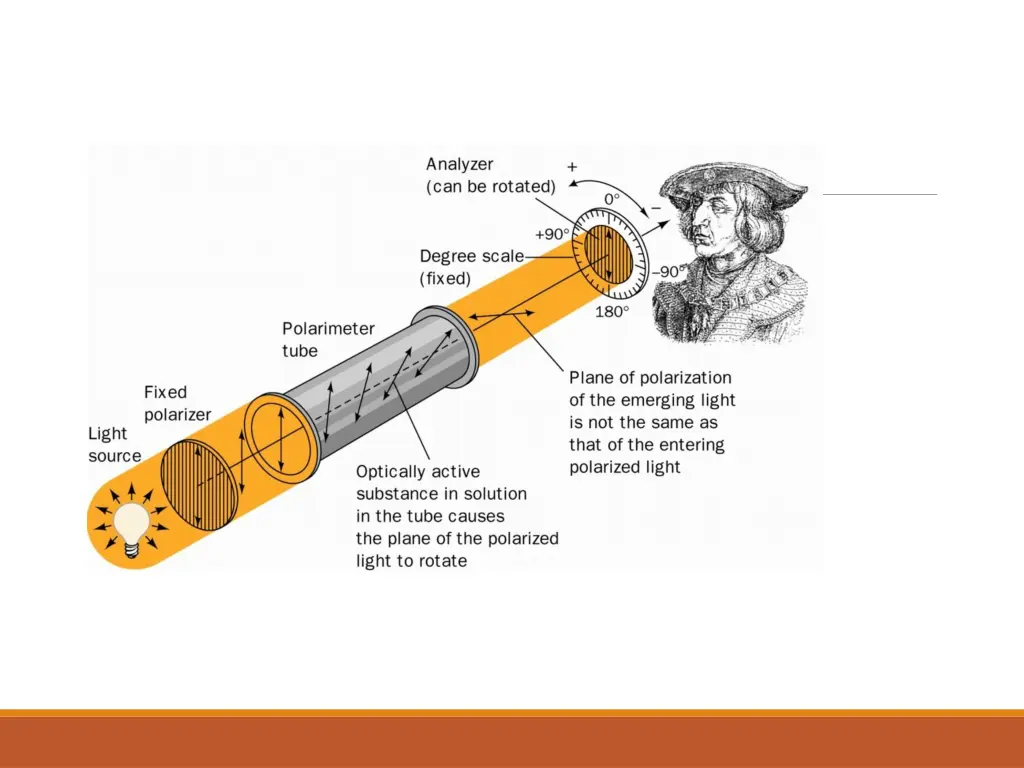 slide19