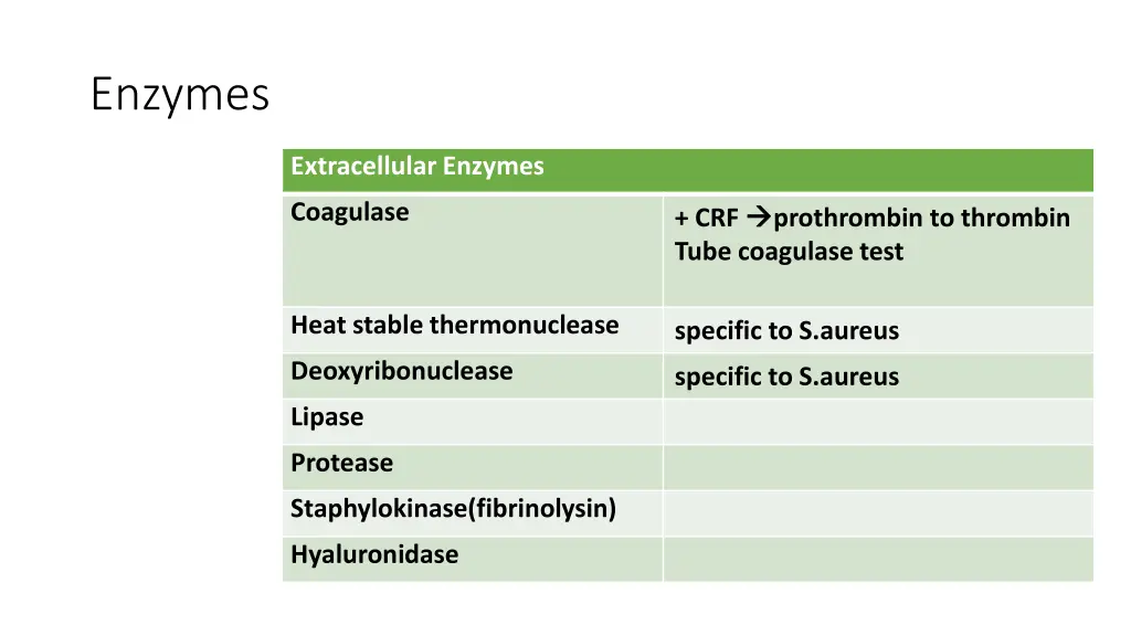 enzymes