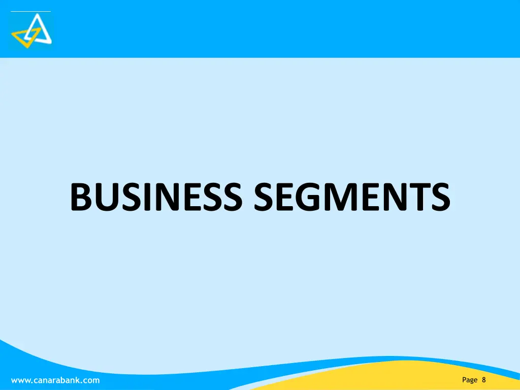 business segments