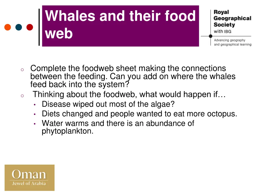 whales and their food web