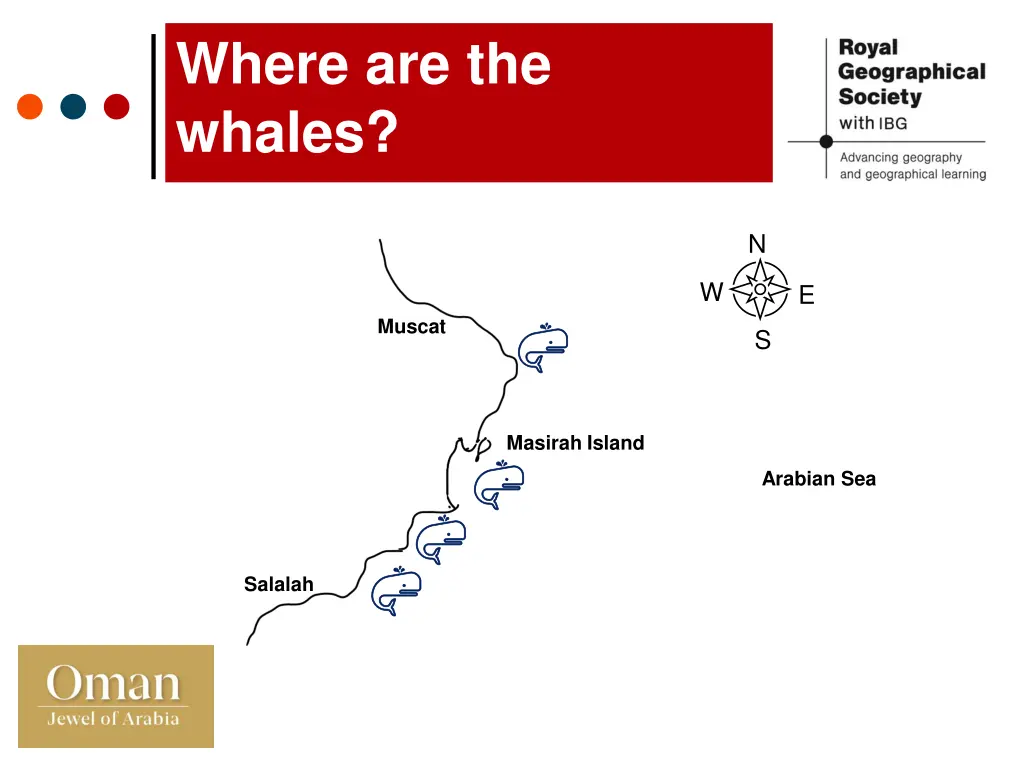 where are the whales 1