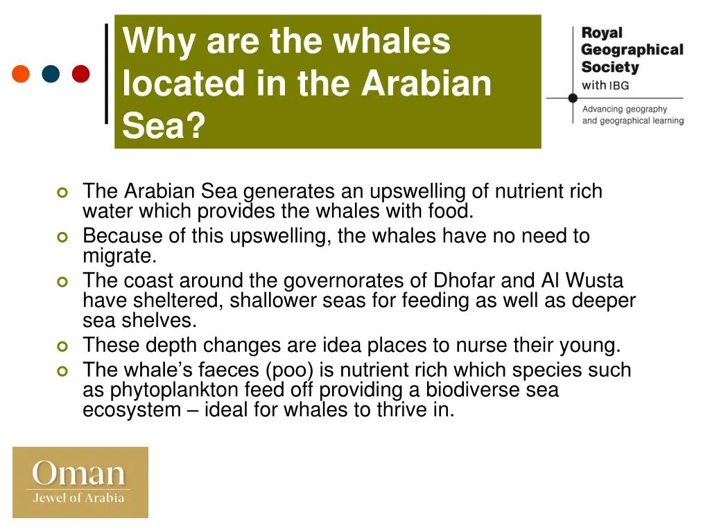 why are the whales located in the arabian sea