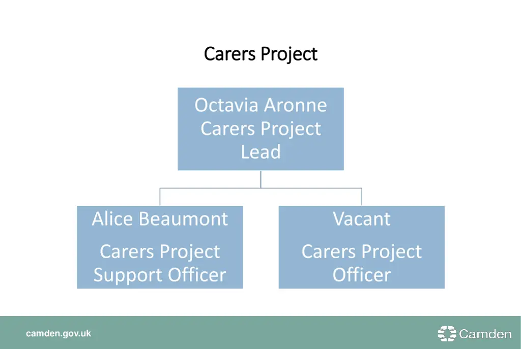 carers project carers project