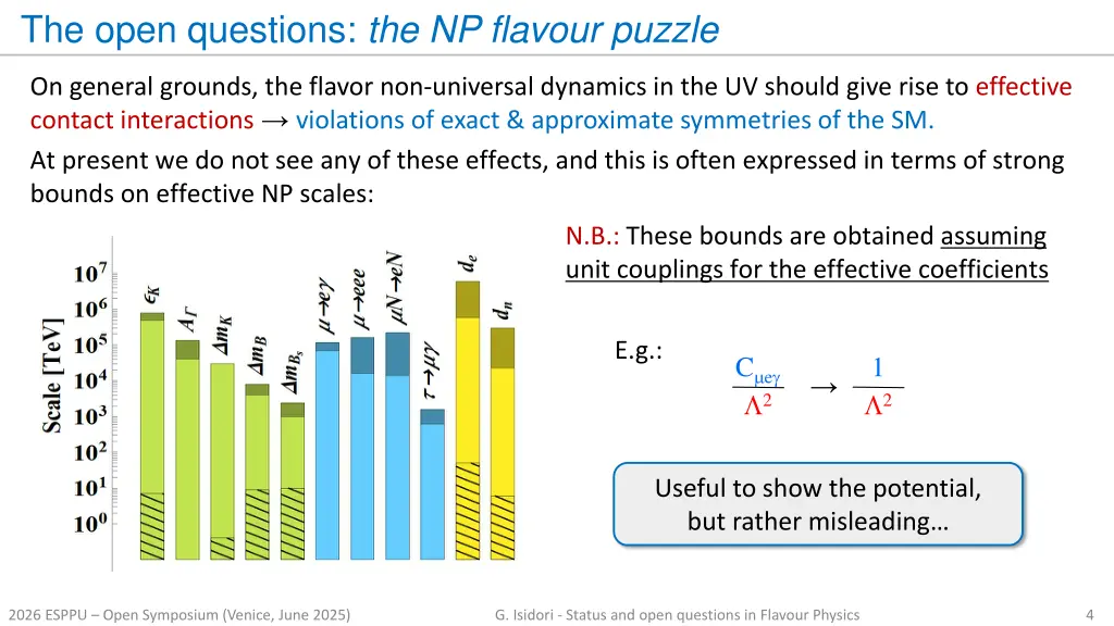 the open questions the np flavour puzzle 1