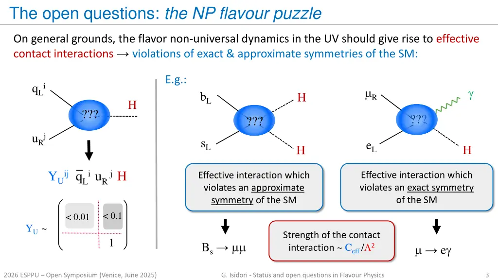the open questions the np flavour puzzle