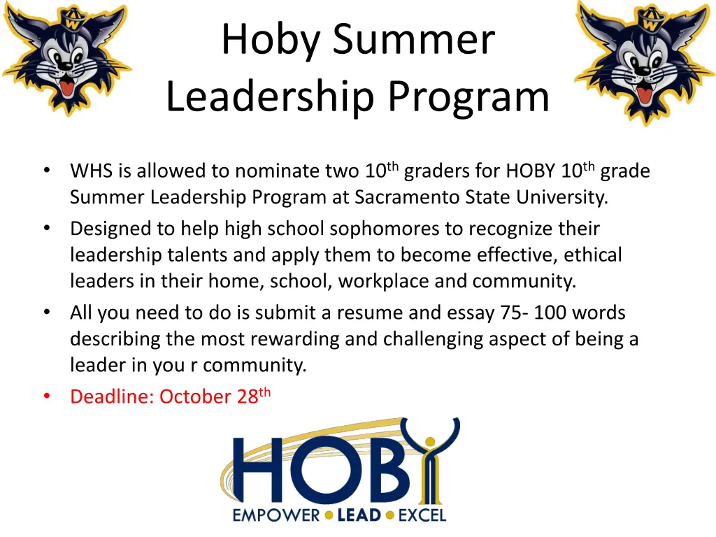 hoby summer leadership program