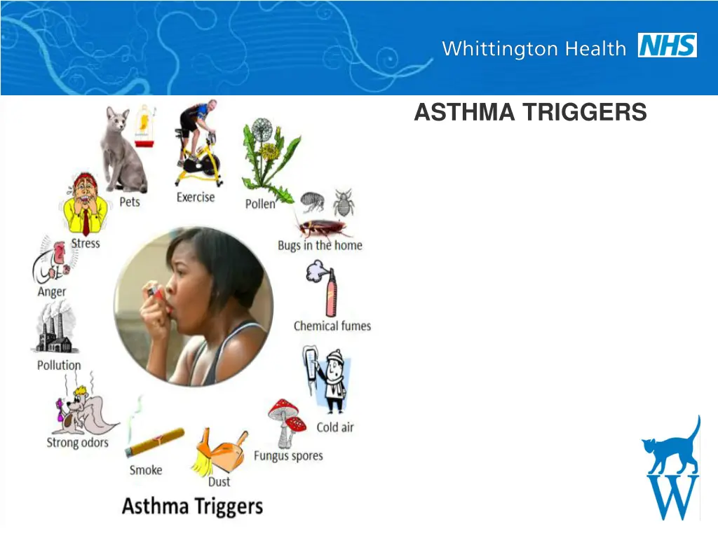 asthma triggers