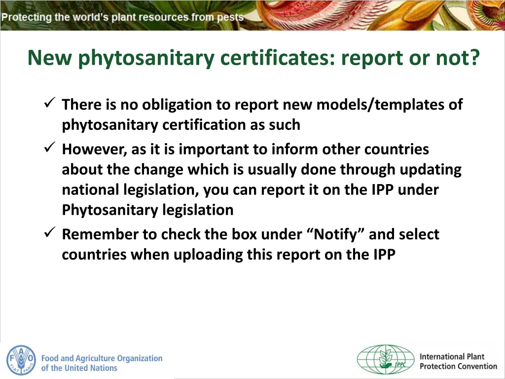 new phytosanitary certificates report or not