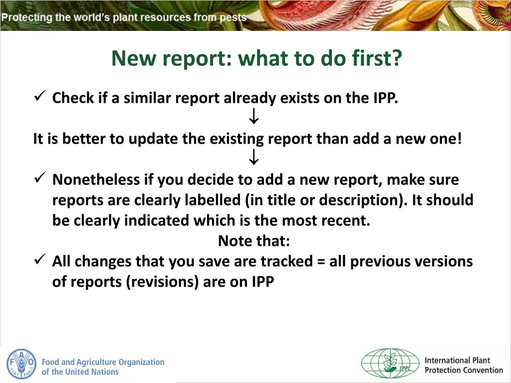 new report what to do first