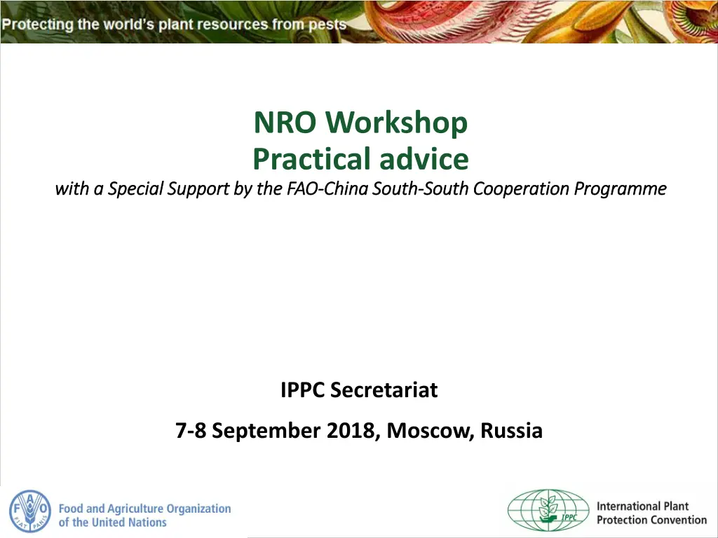 nro workshop practical advice china south south