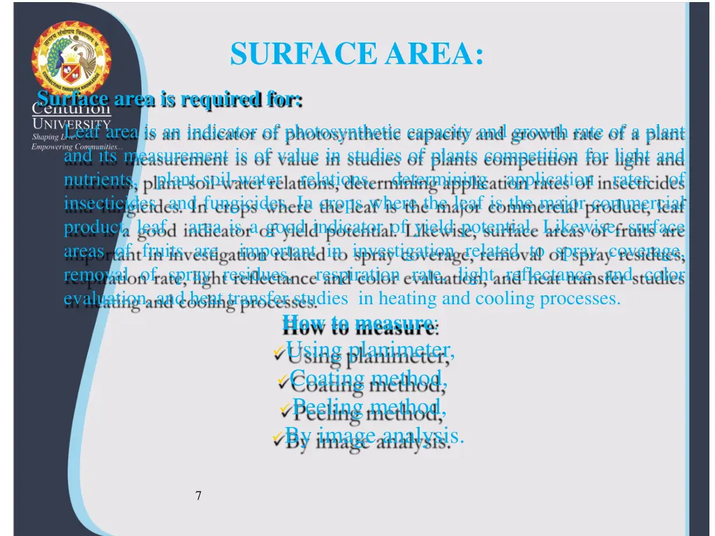 surface area