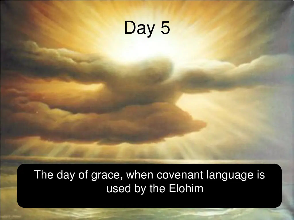 day 5