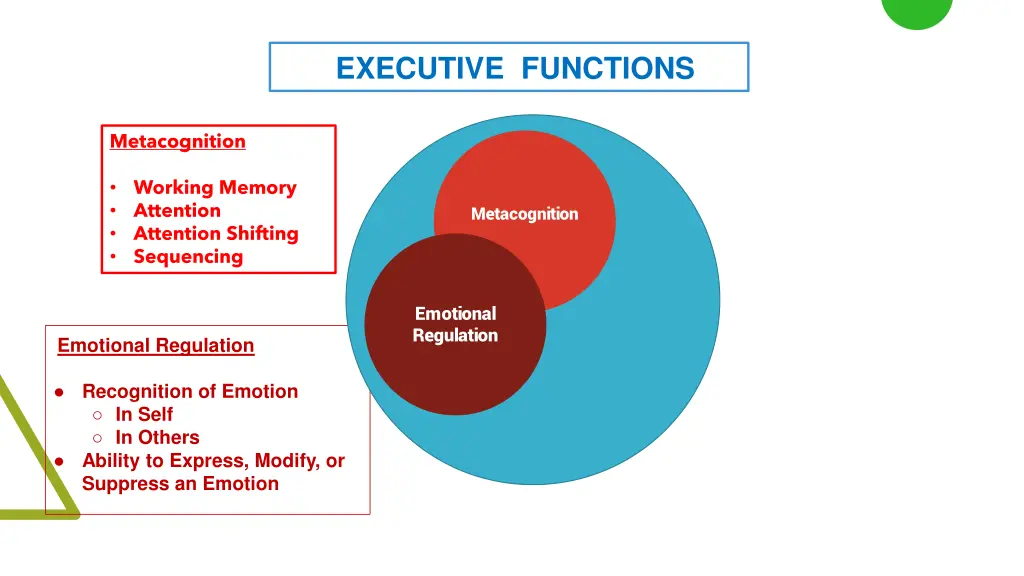 executive functions 1