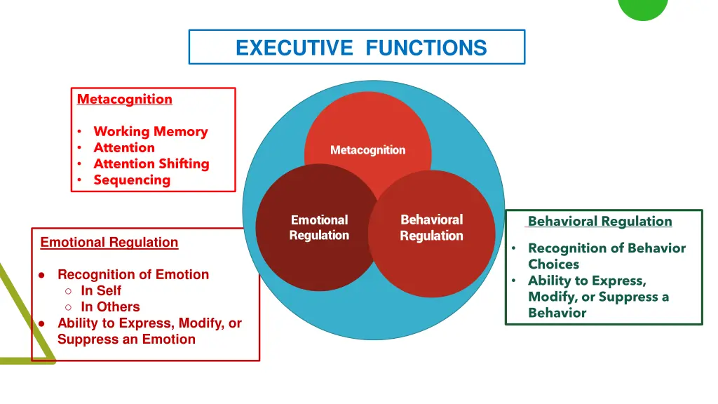 executive functions 2