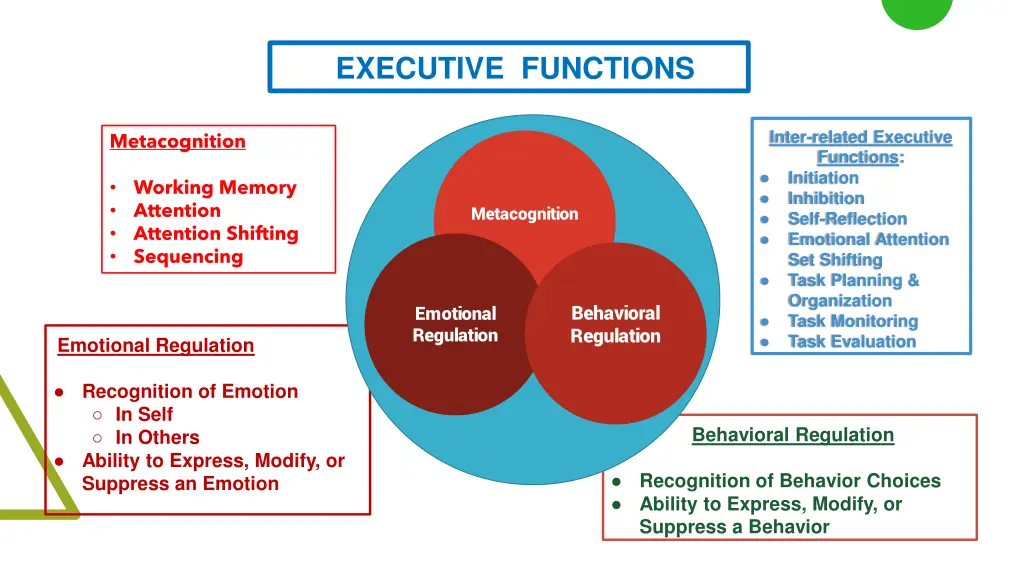 executive functions 3