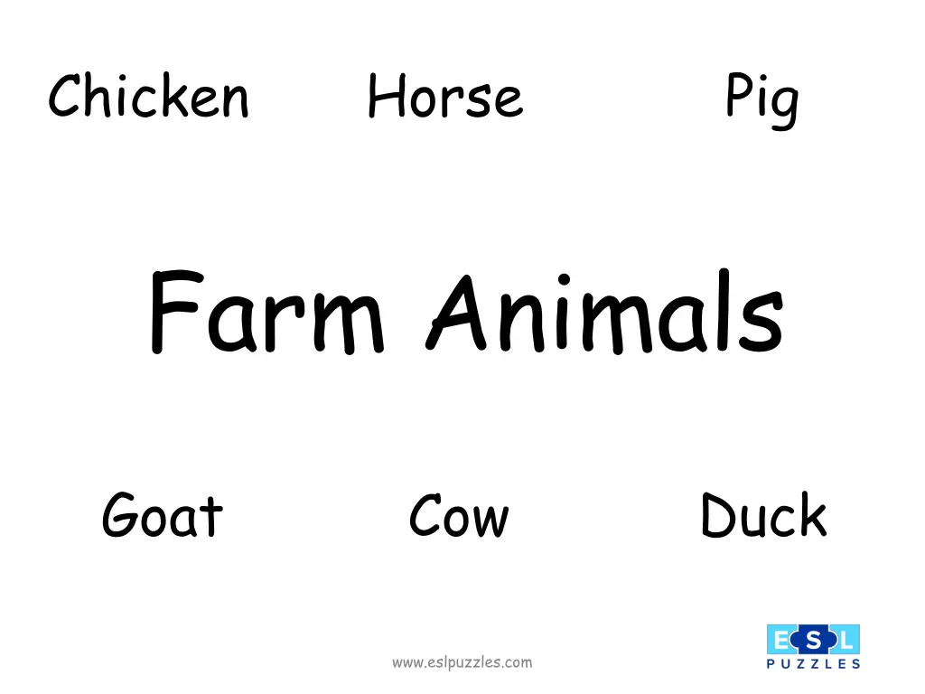 chicken