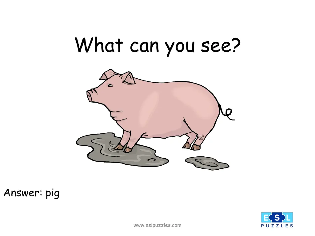 what can you see 1