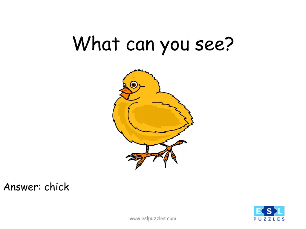 what can you see 2