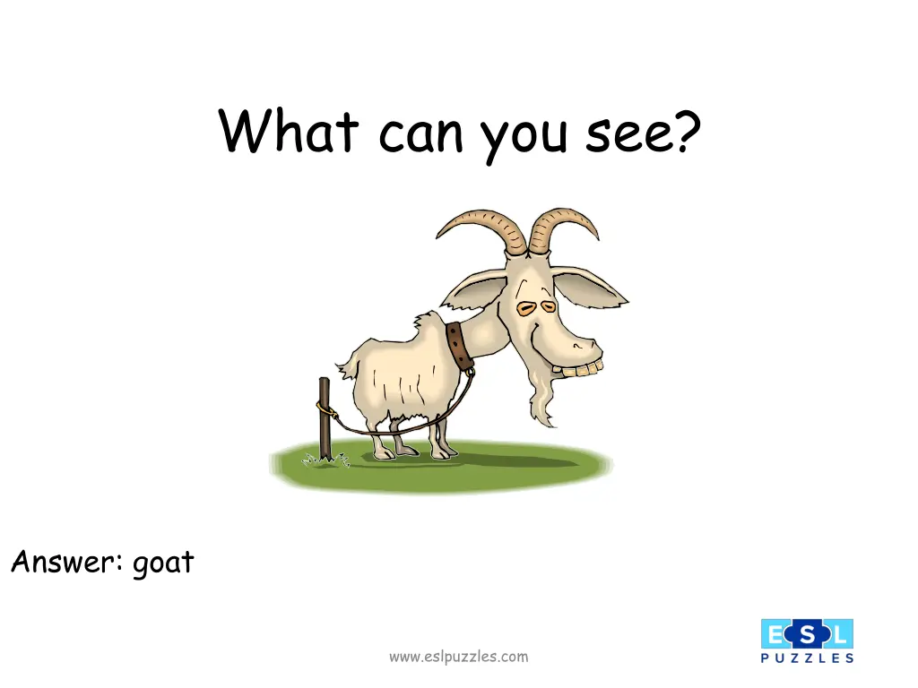 what can you see 4