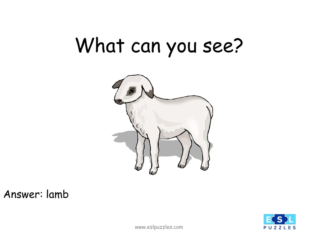 what can you see 5