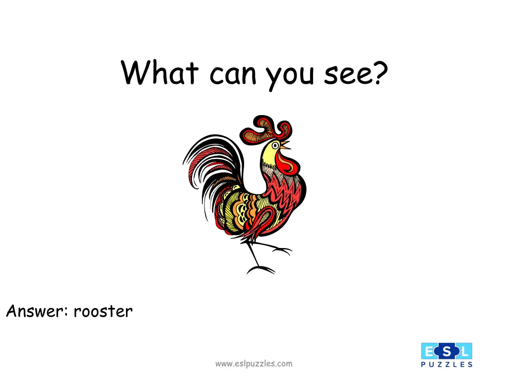 what can you see 6