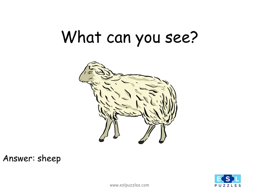 what can you see 7