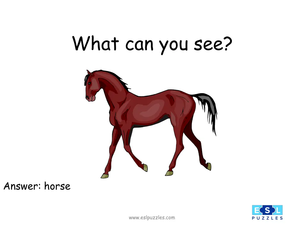 what can you see 8