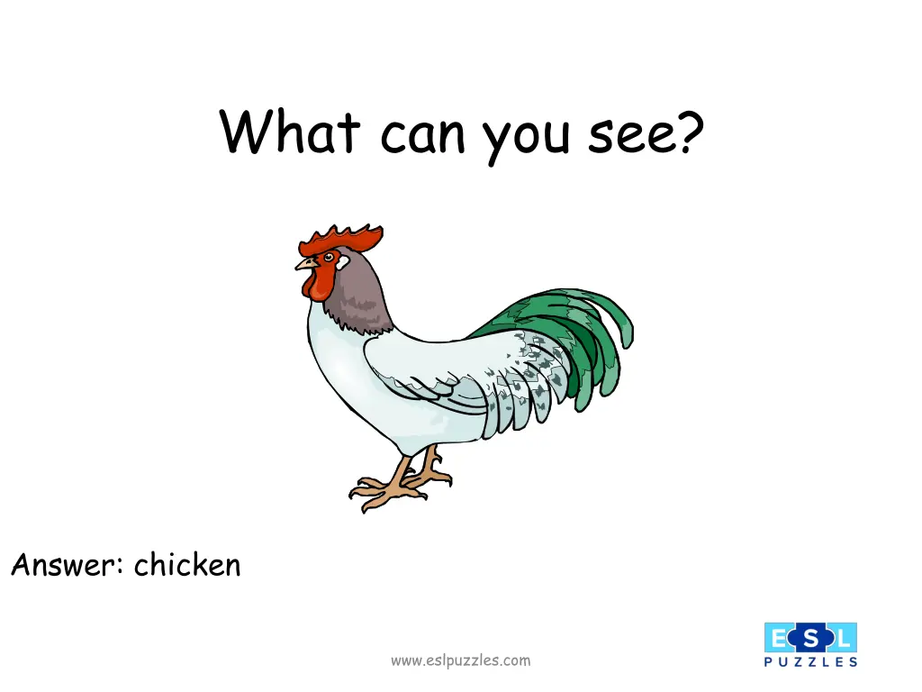 what can you see